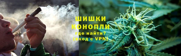 шишки Гусь-Хрустальный