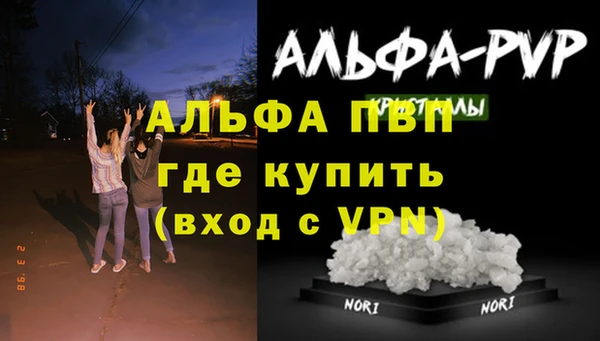 ПСИЛОЦИБИНОВЫЕ ГРИБЫ Дмитриев