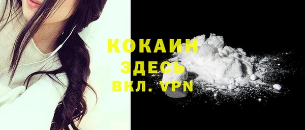 МДПВ Гусев