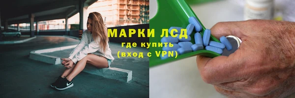гидропоника Гусиноозёрск