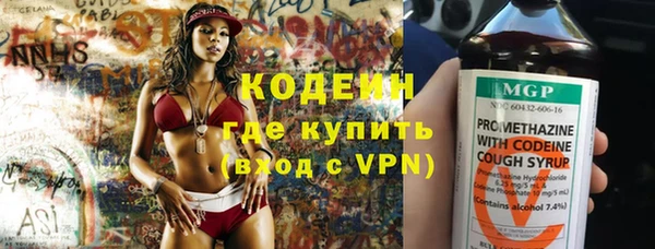шишки Гусь-Хрустальный