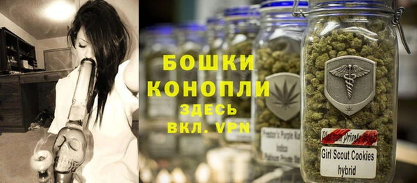 гидропоника Гусиноозёрск