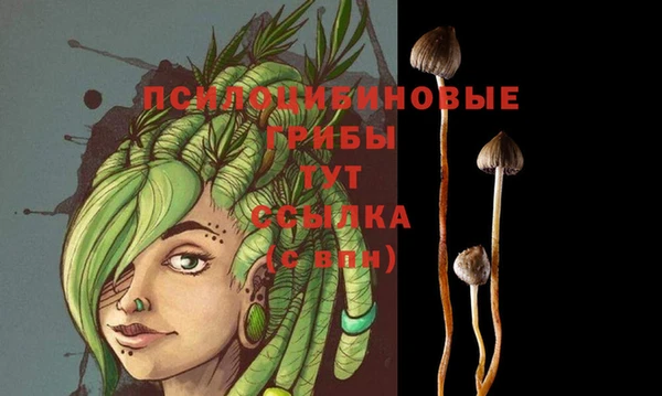 шишки Гусь-Хрустальный