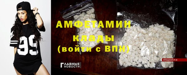 гидропоника Гусиноозёрск