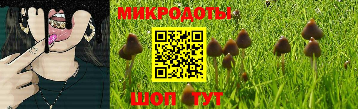 Псилоцибиновые грибы MAGIC MUSHROOMS Минеральные Воды