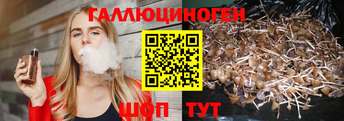 Минеральные Воды  Псилоцибиновые грибы мицелий  Вход с VPN 